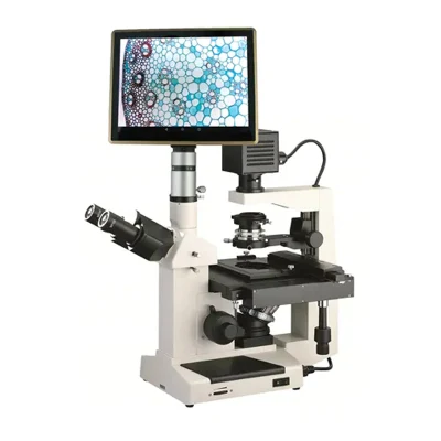 Microscopio biológico invertido bm